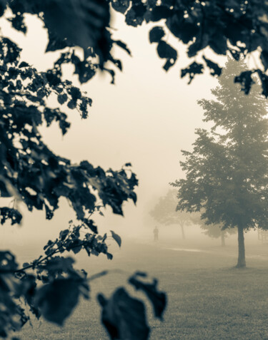 Photography titled "Misty Morning Walk" by Gwendolyn Roth, Original Artwork, Digital Photography
