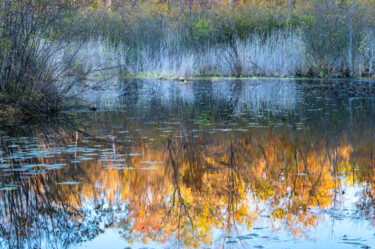 Photographie intitulée "October's Pond" par Gwendolyn Roth, Œuvre d'art originale, Photographie numérique