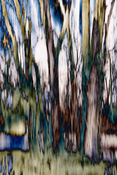 Digital Arts με τίτλο "Blink of an Eye" από Gwendolyn Roth, Αυθεντικά έργα τέχνης, Ψηφιακή φωτογραφία