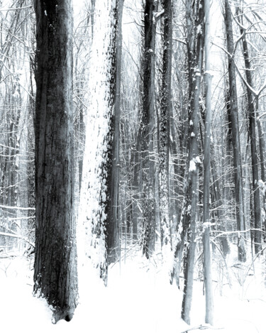 Photographie intitulée "Winter Impressions" par Gwendolyn Roth, Œuvre d'art originale, Photographie numérique