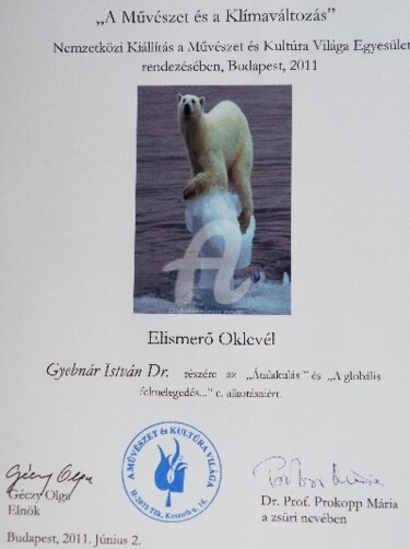 Photography titled "Certificate of Merit" by Dr István Gyebnár, Original Artwork