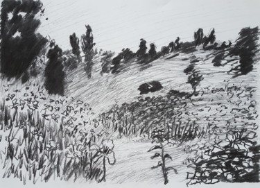 Drawing titled "Dessin paysage imag…" by György Acs, Original Artwork, Charcoal