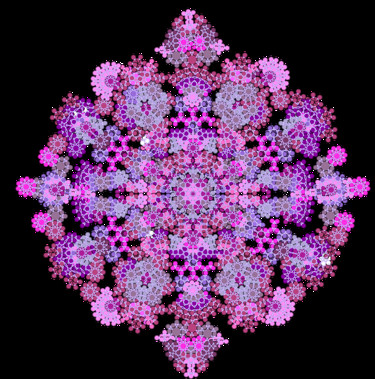 Arts numériques intitulée "Floral Geometrico" par Kira Habyb Abud, Œuvre d'art originale, Travail numérique 2D