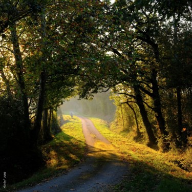 Photographie intitulée "Trouée de chemin" par Herve L (Achel), Œuvre d'art originale, Photographie numérique