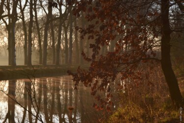 Photography titled "Tâches de rousseurs" by Herve L (Achel), Original Artwork, Digital Photography