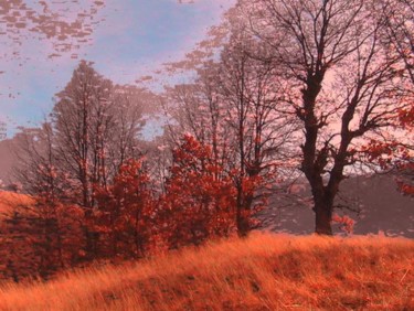 Фотография под названием "Есенно настроение" - Ivan Hadjidimitrov, Подлинное произведение искусства