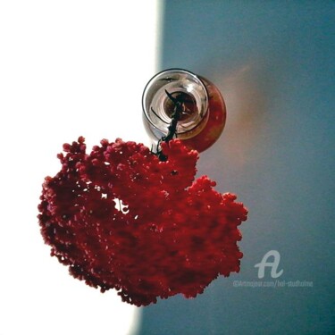 Photography titled "röda blommor" by Hal Studholme, Original Artwork, Digital Photography