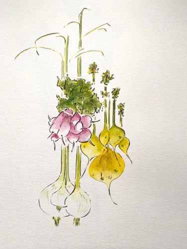 Dessin intitulée "Légumes" par Patrice Halary, Œuvre d'art originale, Aquarelle