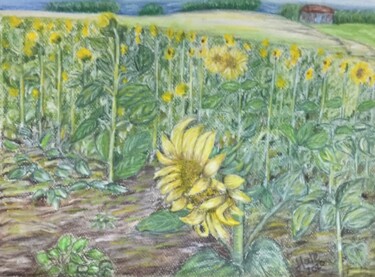 Rysunek zatytułowany „sunflowers” autorstwa Hale Bilek, Oryginalna praca, Pastel