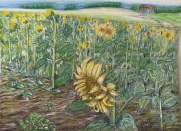 Drawing titled "Sunflowers" by Hale Bilek, Original Artwork, Pastel