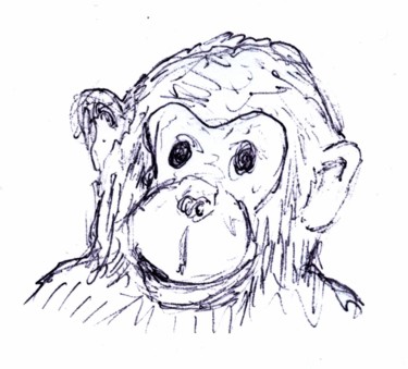 Zeichnungen mit dem Titel "Affe" von Dieter Hamm, Original-Kunstwerk, Kugelschreiber
