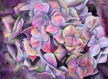 Painting titled "Hydrangea Flower" by Hanna Kopylova, Original Artwork, Watercolor