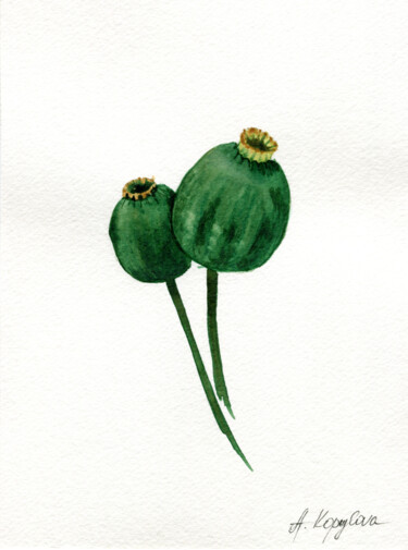 Painting titled "Poppy Capsules" by Hanna Kopylova, Original Artwork, Watercolor