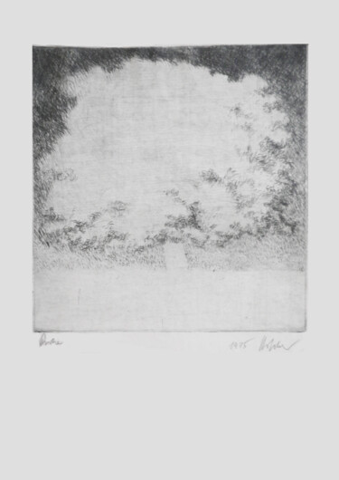 "Baum" başlıklı Baskıresim Hannes Hofstetter tarafından, Orijinal sanat, Oyma baskı 