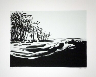 Gravures & estampes intitulée "Lagune EA 6/8" par Hannes Hofstetter, Œuvre d'art originale, Sérigraphie