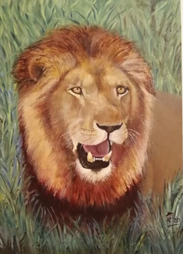 Pintura intitulada "Lion observing it,s…" por Hans Dutch Artist, Obras de arte originais, Óleo