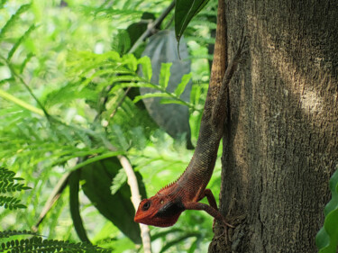 Fotografie getiteld "Lizzard" door Harm Hendrik Hegen, Origineel Kunstwerk, Digitale fotografie