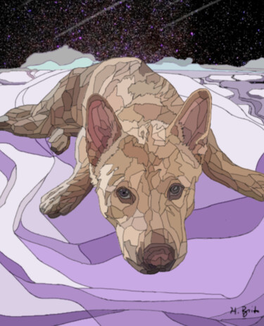 Цифровое искусство под названием "Space Dog" - Haroldo G. Brito, Подлинное произведение искусства, Цифровая живопись
