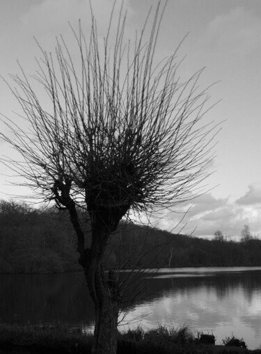 Fotografie mit dem Titel "Still ruht der See…" von Harry Lübke (hARRY), Original-Kunstwerk, Digitale Fotografie