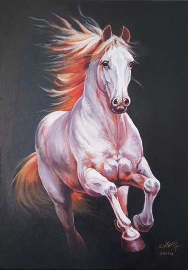Painting titled "White horse" by Harun Ayhan, Original Artwork, Oil