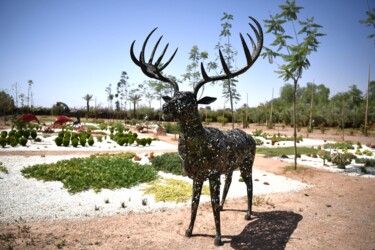 Sculpture intitulée "Cerf en métal recyc…" par Hassan Laamirat, Œuvre d'art originale, Métaux