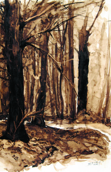 Peinture intitulée "foret-arbre.jpg" par Stéphane Hauton (O), Œuvre d'art originale, Aquarelle