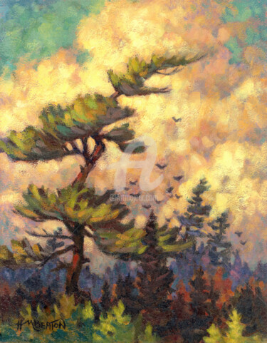 Painting titled "white-pine-20mb-art…" by Heather Beaton, Original Artwork, Oil