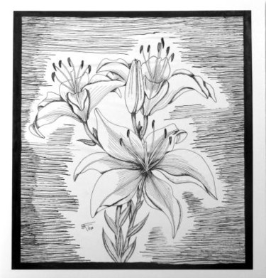 Drawing titled "BW Lilies" by Stephen Fontana, Original Artwork