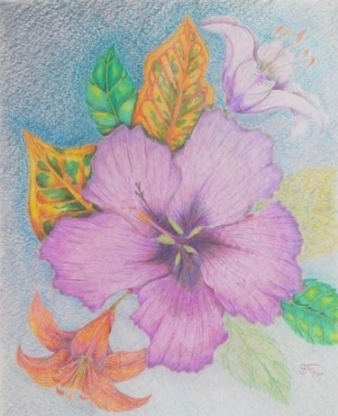 Drawing titled "Hibiscus Lightly" by Stephen Fontana, Original Artwork