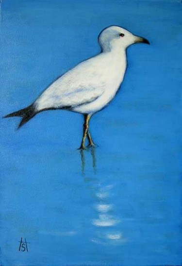 Pintura intitulada "Seagull" por Heidi Shaulis, Obras de arte originais