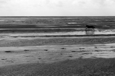 Fotografie mit dem Titel "At the North Sea co…" von Heinz Baade, Original-Kunstwerk