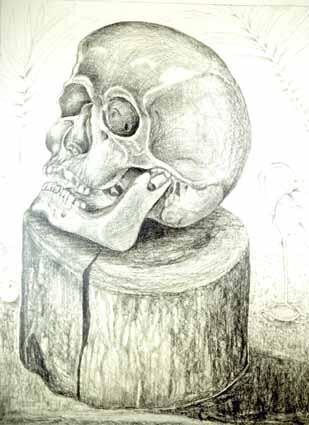 图画 标题为“Cranium of a Death…” 由Heinz Sterzenbach, 原创艺术品, 铅笔