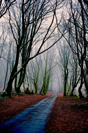 Fotografie getiteld "la montée des gaulo…" door Hekography, Origineel Kunstwerk