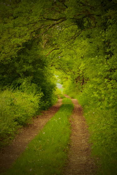 Fotografie getiteld "chemin interieur 7" door Hekography, Origineel Kunstwerk