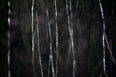 Photography titled "birches in water.jpg" by Hekography, Original Artwork, Other