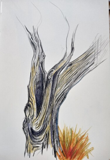 Σχέδιο με τίτλο "Etude d arbre" από Hel Swynghedauw, Αυθεντικά έργα τέχνης, Μολύβι