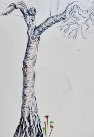 Dessin intitulée "Etude d arbre 3" par Hel Swynghedauw, Œuvre d'art originale, Crayon