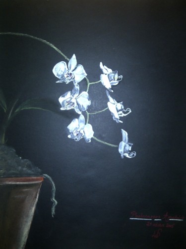 Schilderij getiteld "orchidées" door Helen Barenton, Origineel Kunstwerk, Krijt