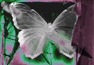 Digitale Kunst mit dem Titel "Schmetterling" von Helen Grosswart, Original-Kunstwerk, Fotomontage