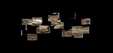 Digitale Kunst mit dem Titel "Holzweg" von Helen Grosswart, Original-Kunstwerk