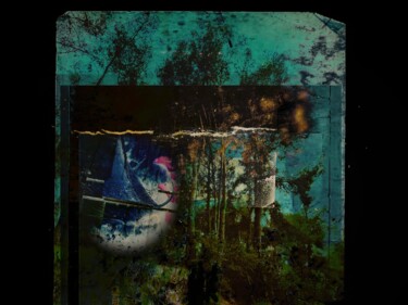 Photography titled "Hildegarda’s forest" by Helena Pellicer Ortiz, Original Artwork, Digital Photography