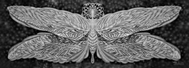 Digital Arts titled "Butterfly. Black an…" by Helena Lose, Original Artwork, Digital Painting