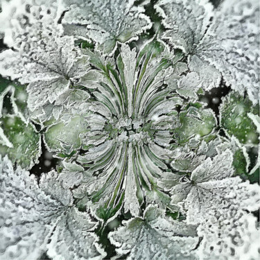 Digitale Kunst getiteld "Snow leaves" door Helena Vintergreen, Origineel Kunstwerk, Digitaal Schilderwerk