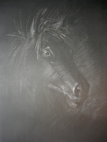 Drawing titled "Tête de cheval à la…" by Hélène Avot, Original Artwork, Chalk