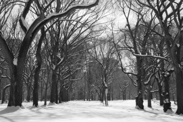 Photography titled "Central Park sous l…" by Hélène Gondelle, Original Artwork
