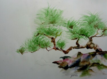Painting titled "le bonsai du vietnam" by Helene Miaz, Original Artwork, Watercolor