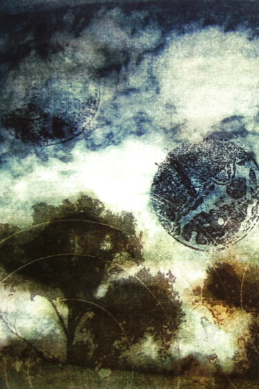 Photographie intitulée "Paysage d'arboresce…" par Hélène Mongin, Œuvre d'art originale
