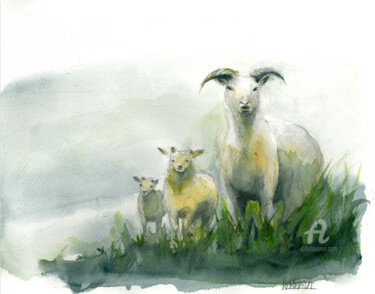 Malarstwo zatytułowany „3 moutons” autorstwa Helene Vacheyrout, Oryginalna praca, Akwarela