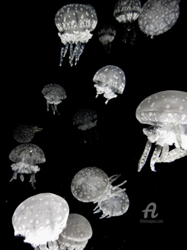 Photographie intitulée "Jellyfish #3" par Hélène Tourbine, Œuvre d'art originale, Photographie numérique