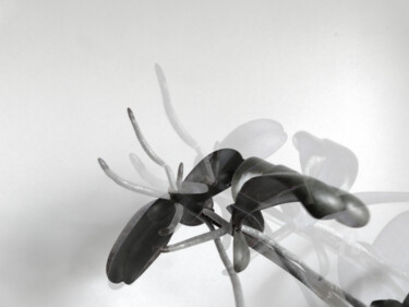 Photographie intitulée "Prefab sprout #3" par Hélène Tourbine, Œuvre d'art originale, Photographie manipulée